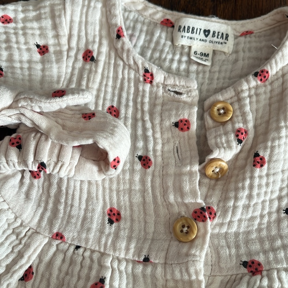 EUC Ladybug dress set - Picture 2 of 4